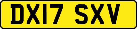 DX17SXV