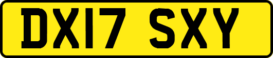 DX17SXY