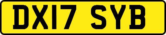 DX17SYB