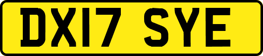 DX17SYE