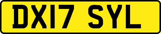 DX17SYL