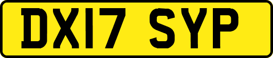 DX17SYP