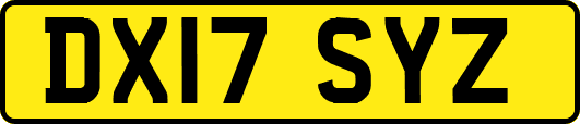 DX17SYZ