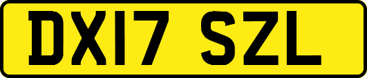 DX17SZL