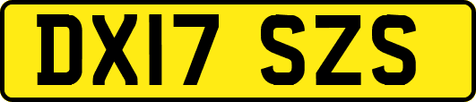 DX17SZS