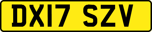 DX17SZV