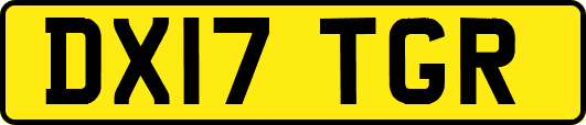 DX17TGR