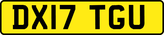 DX17TGU