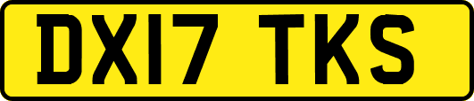 DX17TKS