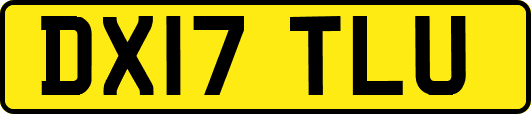DX17TLU