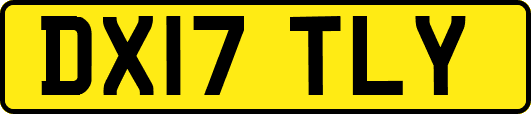 DX17TLY