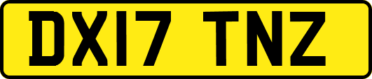DX17TNZ