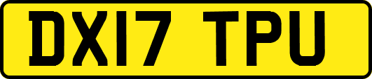 DX17TPU