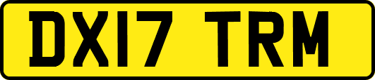 DX17TRM