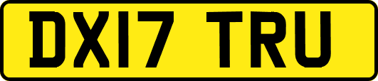 DX17TRU
