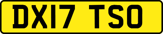 DX17TSO