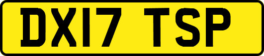 DX17TSP