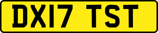 DX17TST