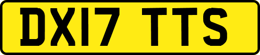 DX17TTS