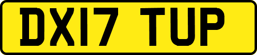 DX17TUP