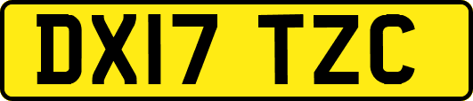 DX17TZC