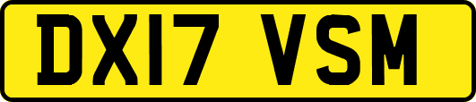 DX17VSM