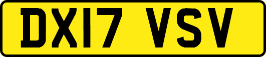 DX17VSV