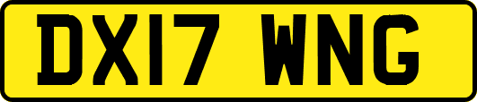 DX17WNG