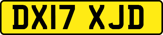 DX17XJD