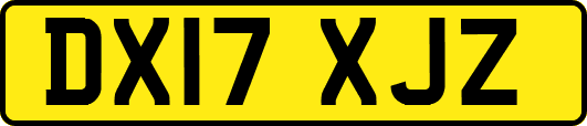 DX17XJZ