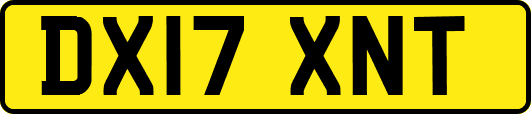 DX17XNT