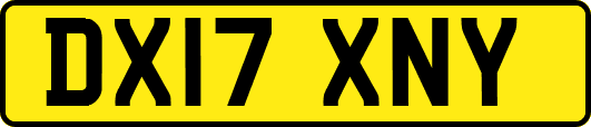 DX17XNY