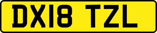 DX18TZL