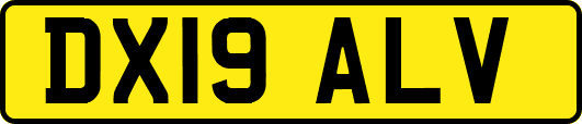 DX19ALV