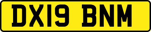 DX19BNM