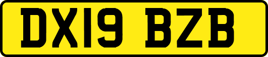 DX19BZB