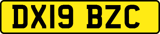 DX19BZC