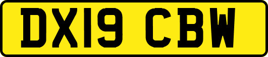 DX19CBW