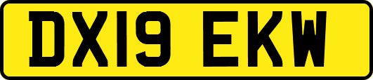 DX19EKW