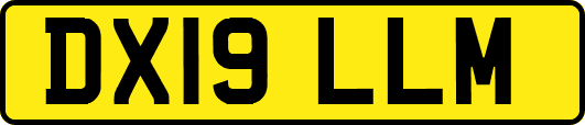 DX19LLM