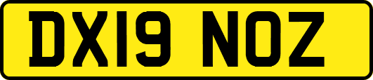 DX19NOZ