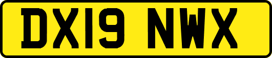 DX19NWX