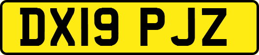 DX19PJZ
