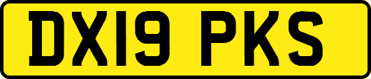 DX19PKS