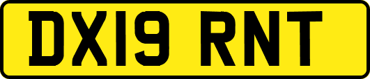 DX19RNT