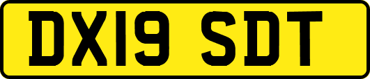 DX19SDT