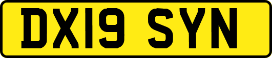 DX19SYN