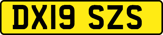 DX19SZS