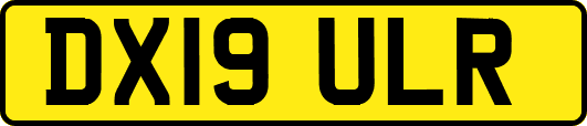 DX19ULR
