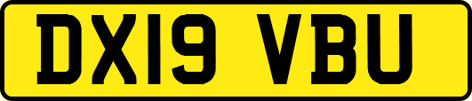 DX19VBU